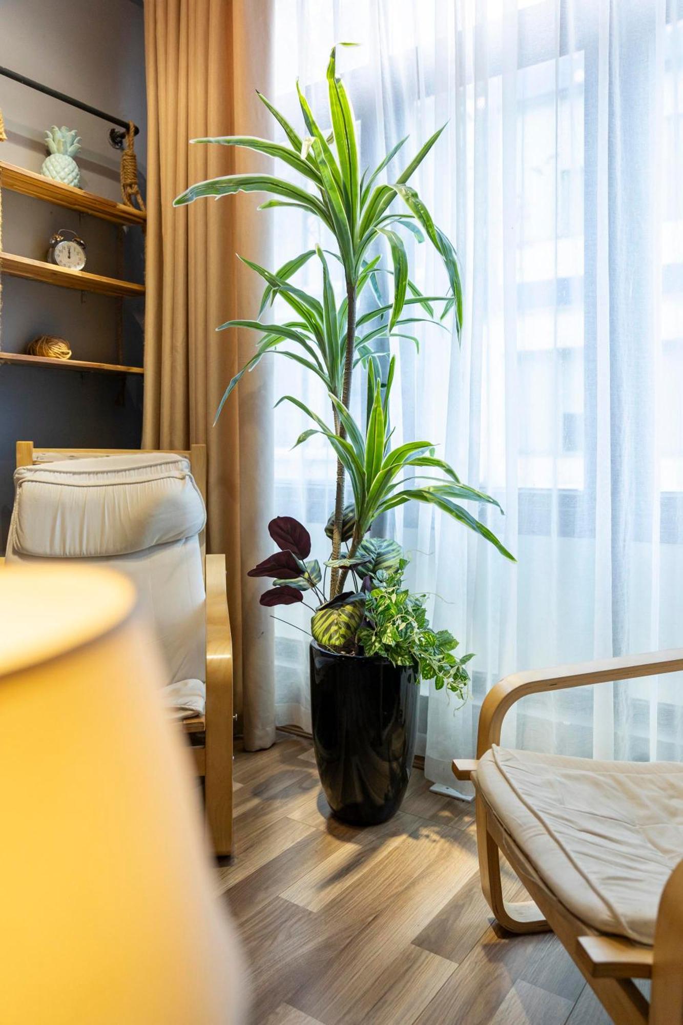Trinh'S House - Hang Vai Hà Nội Ngoại thất bức ảnh
